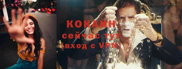 дмт Осинники