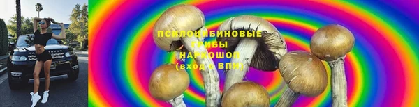 ALPHA PVP Армянск