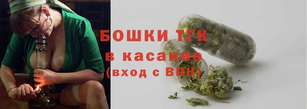шишки Балабаново