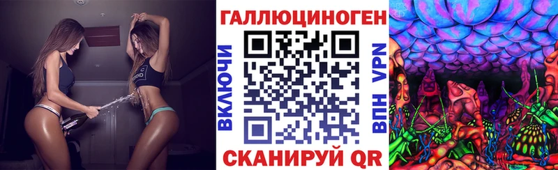 Псилоцибиновые грибы Psilocybine cubensis дарк нет состав Борзя